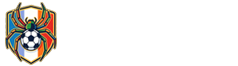 蜘蛛直播